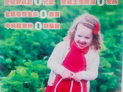 -大自然农场蔬菜草莓采摘园