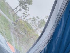 -春花秋色城市公园