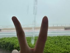 -日照海滨国家森林公园