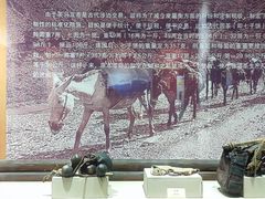 -迪庆藏族自治州博物馆