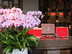 -王德传茶庄(上海新天地店)