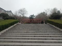 -伯先公园