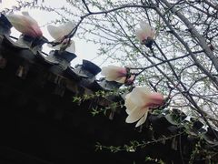 -三里河公园