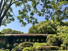 -中国茶叶博物馆(双峰馆区)