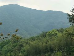 -塔川景区