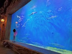 -华夏文旅海洋公园