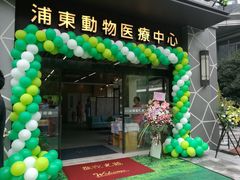 -爱妮康宠物医院·干细胞免疫细胞·肿瘤·心脏(张江店)