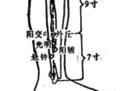 -裕和堂中医推拿艾灸(太古汇臻品店)