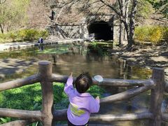 -白水寺森林公园