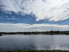 -春花秋色城市公园