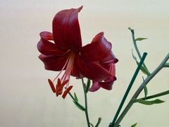 -中国农业博物馆