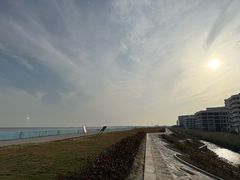 -碧海金沙
