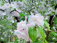 -元大都城垣遗址公园