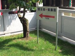 -嘉定紫藤园