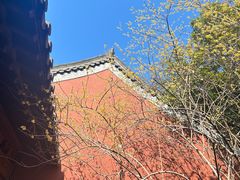 -钱王祠