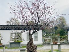 -杭州植物园
