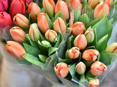 -双季花艺园艺市场(浦东店)