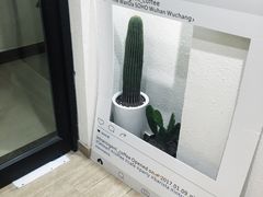 -不正咖啡(万达尊店)
