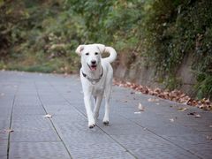 -杭州城北体育公园