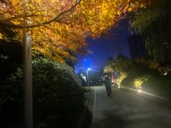 -天鹅湖体育公园
