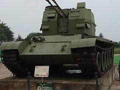 -铁山坪森林公园