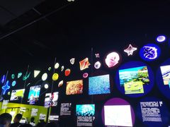 -贝林大翅鲸简餐厅(国家海洋博物馆店)