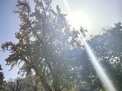 -终南山古楼观历史文化景区