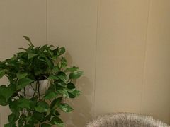 -宫七SPA·高端Massage(浦东大道店)
