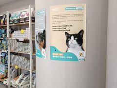 -瑞鹏宠物医院·骨科·猫科·内科(第一中心)