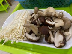 -15年老字号鑫鑫猪肚鸡·椰子鸡海南火锅(兴隆华侨农场店)