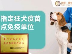 -瑞派康怡24h宠物医院·犬猫医疗中心·微创绝育(瑞景分院)
