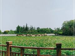 -石家庄市动物园