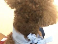 -瑞派宠物医院·24小时骨科·心脏·核磁(哈尔滨南岗店)