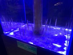 -石家庄海洋公园