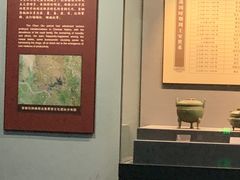 -荆州博物馆