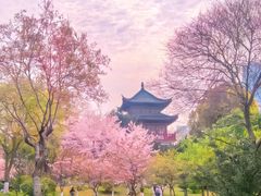 -堤角公园