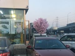 -首钢一九一九大酒楼(石景山店)