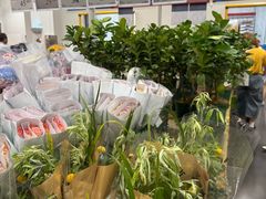 -山姆会员商店(西溪店)