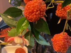 -故里和山·成都火锅(欢乐港湾店)