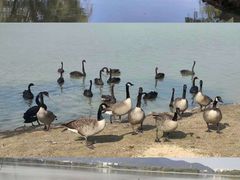 -长兴太湖图影湿地文化园