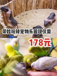 -七巧国萌宠乐园(龙湖天街店)
