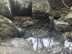 -石台牯牛降景区