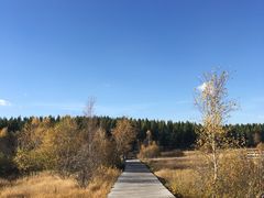 -塞罕坝国家级自然保护区