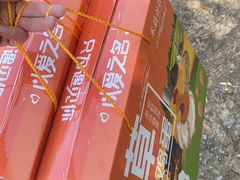 -同銮特种养殖场·龙虾垂钓