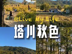 -塔川景区