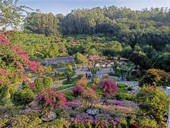 -东莞植物园