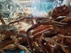 -紫阳海鲜楼·传承闽味(长乐路总店)