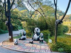 -柳州市动物园