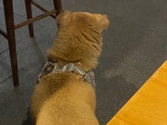 -无届青年餐馆(熙街店)