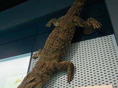 -浙江自然博物院(杭州馆)